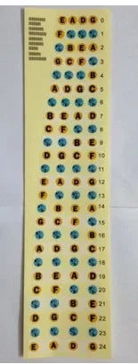 StringSense Fretboard Guide