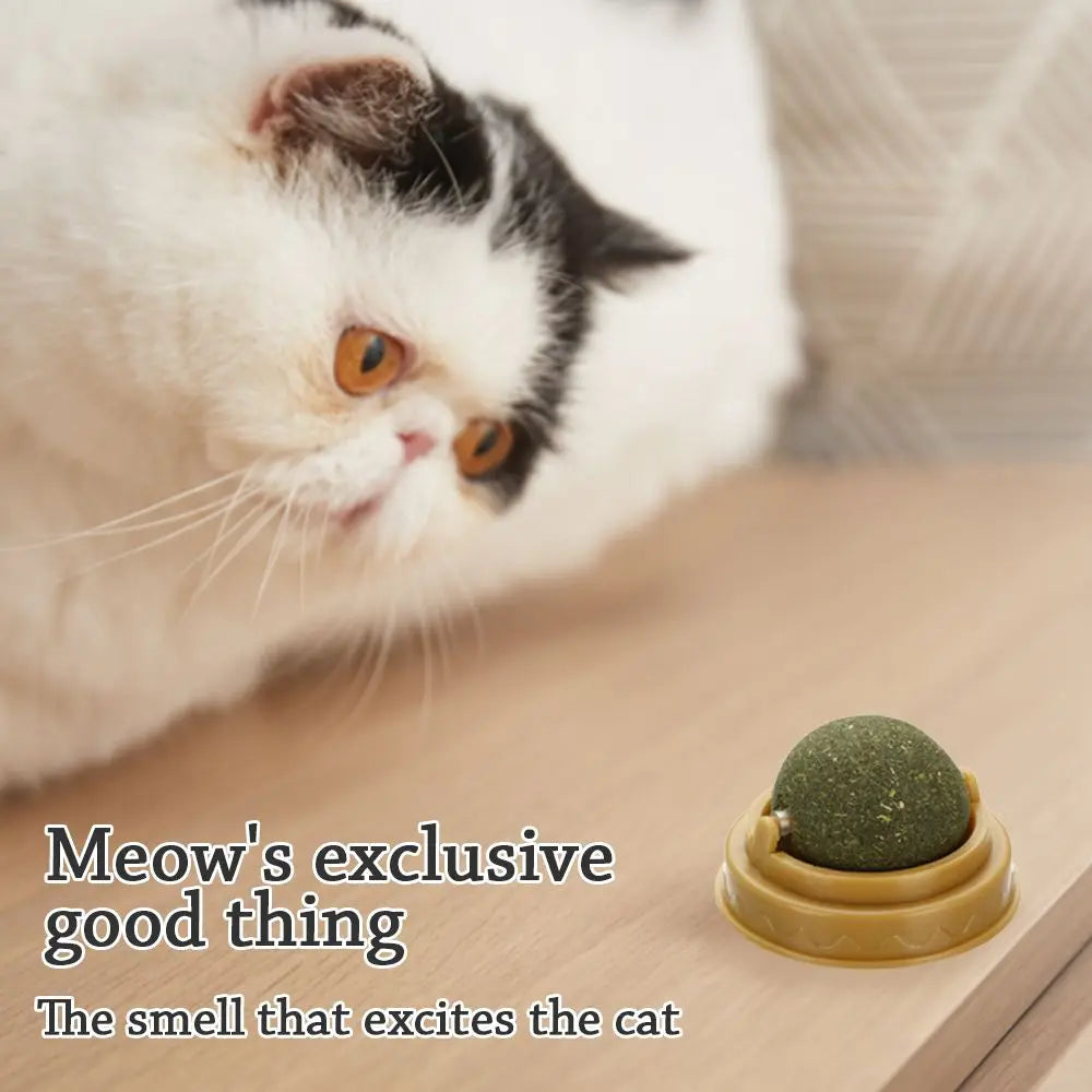 Catnip Care Ball