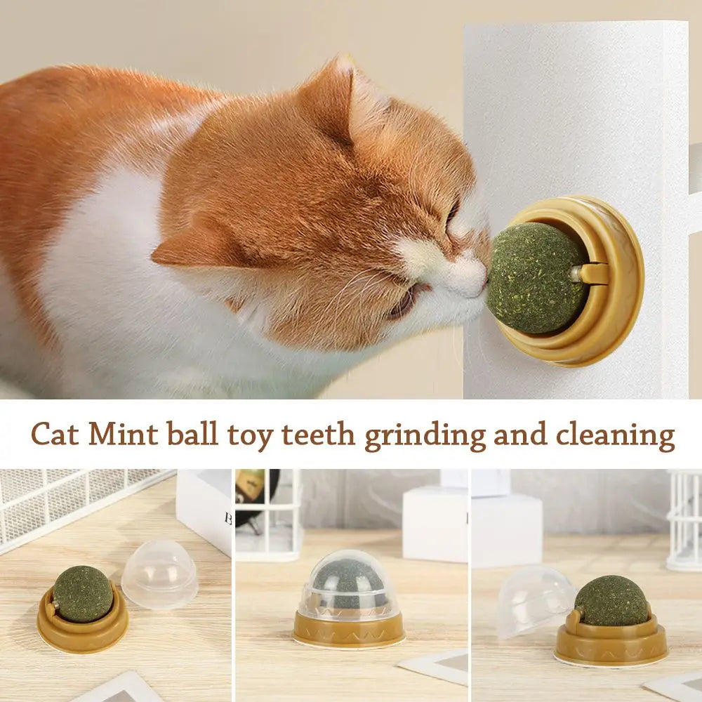 Catnip Care Ball