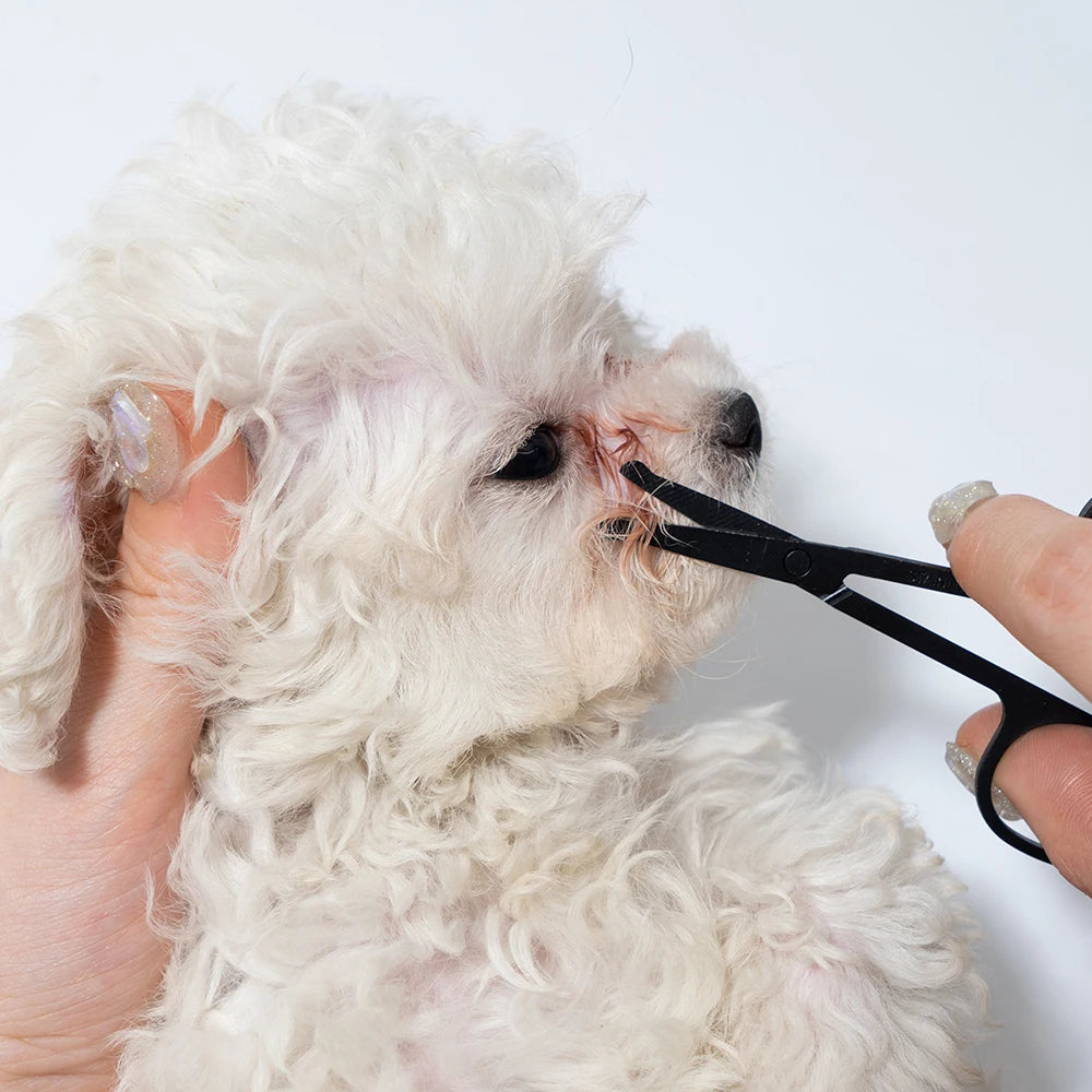 Pawfect Groom Kit