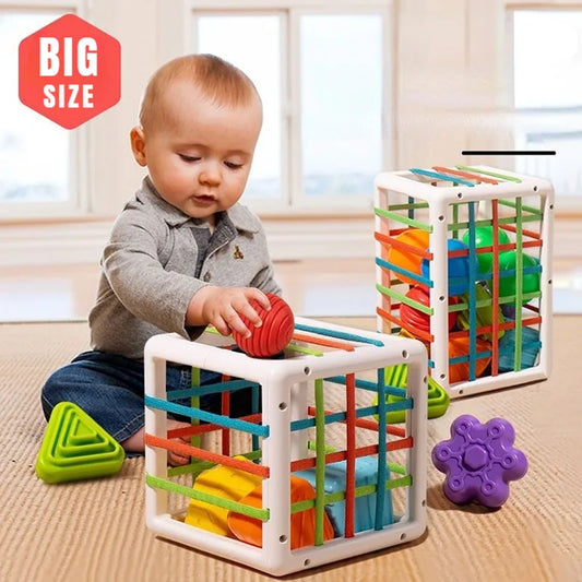 Baby's First Educational Blocks